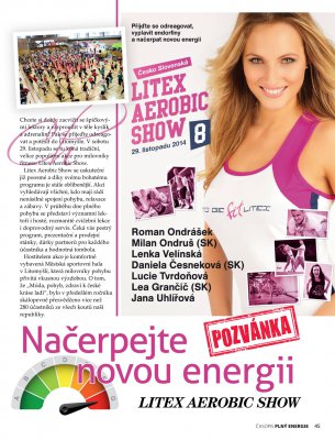 Litex_november_2014.jpg